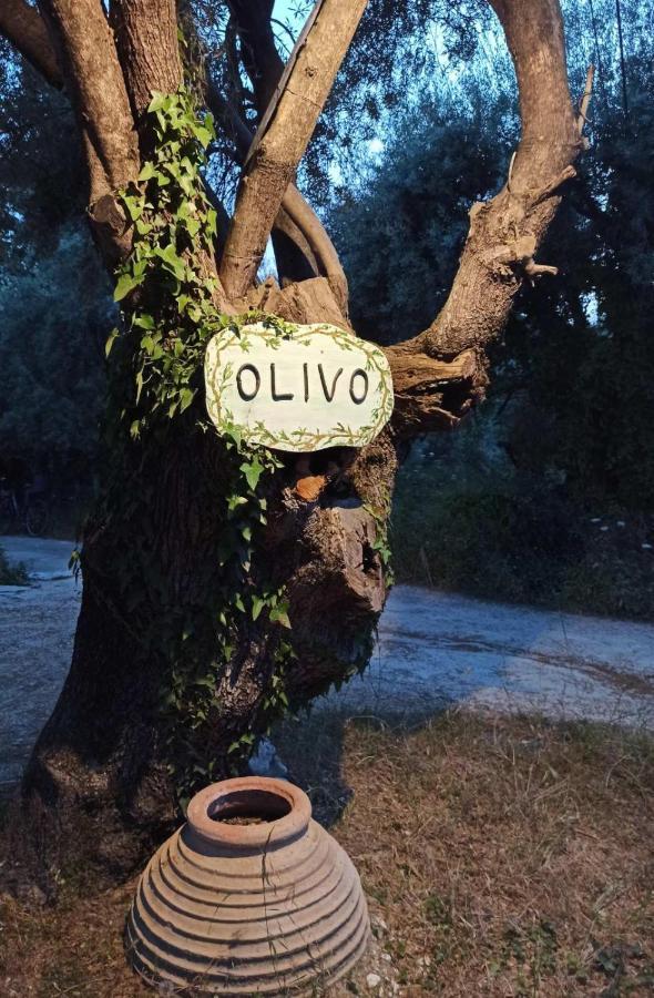 Olivo Nydri Apartment Exterior photo
